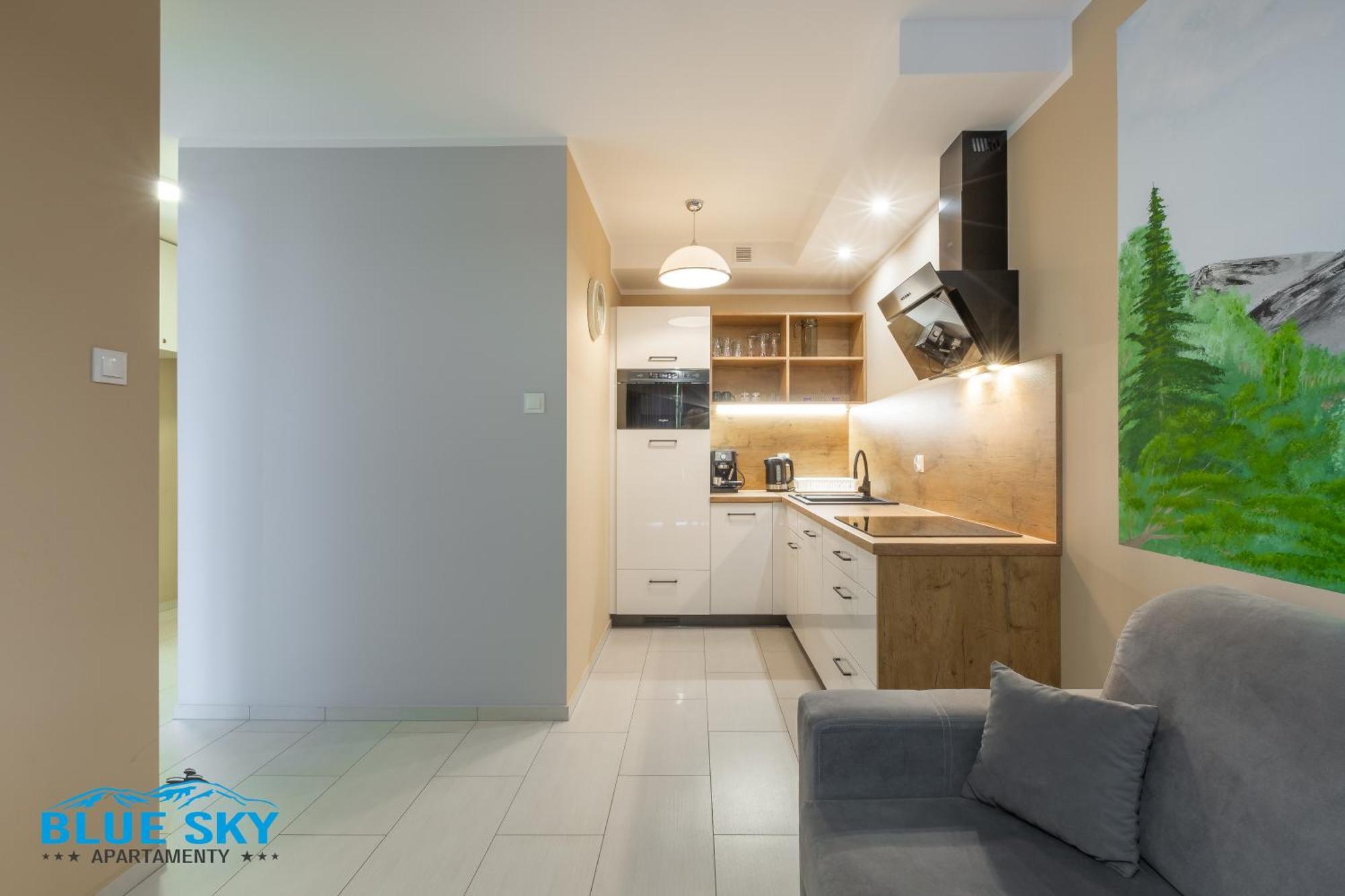Apartamenty Bluesky - Nad Lomnica 14 - Centrum Karpacza, Blisko Deptaka Ngoại thất bức ảnh